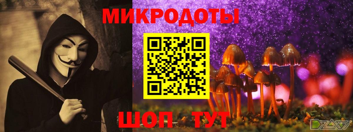 Псилоцибиновые грибы MAGIC MUSHROOMS  Вход с VPN  Ставрополь  Галлюциногенные грибы мухоморы 