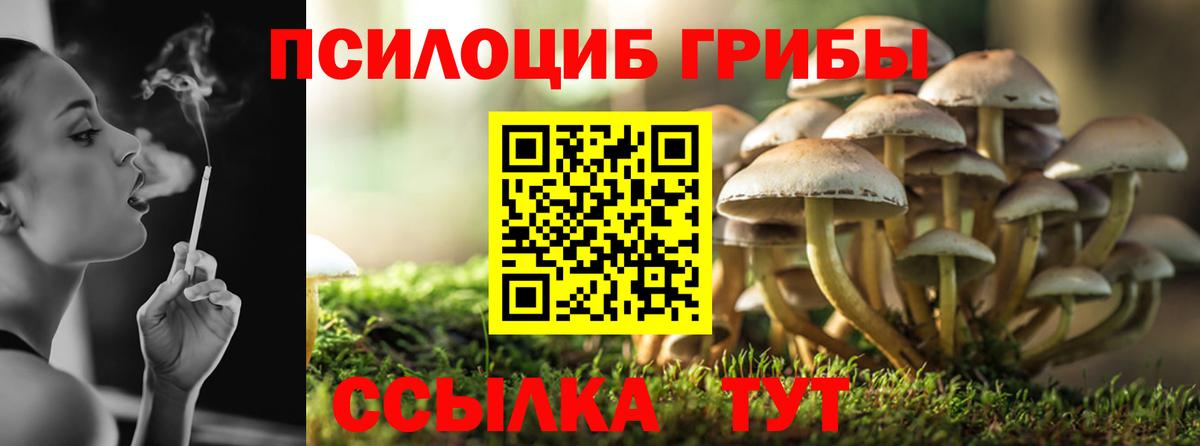 Галлюциногенные грибы GOLDEN TEACHER Ставрополь